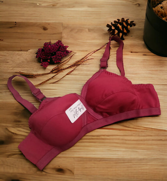 Premium Bra  Buy Embroidery And Daily wear Bra Designs in